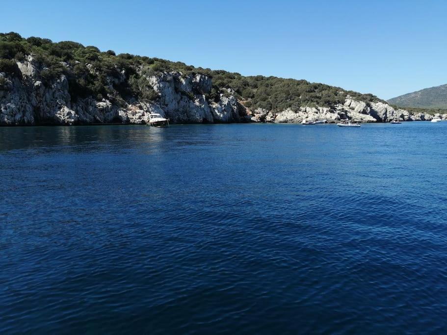 アルゲーロPalau Del Corsoアパートメント エクステリア 写真